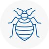 Bed Bug Extermination In Narberth
