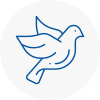 Bird Prevention Narberth