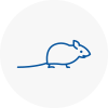 Mice Exterminators In Narberth