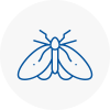 Moth Control Specialists In Narberth