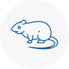 Rat Control Narberth