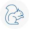 Narberth Rodent Removals