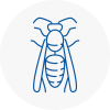 Narberth Wasp Nest Removal